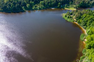 Rumšiškių piliakalnis