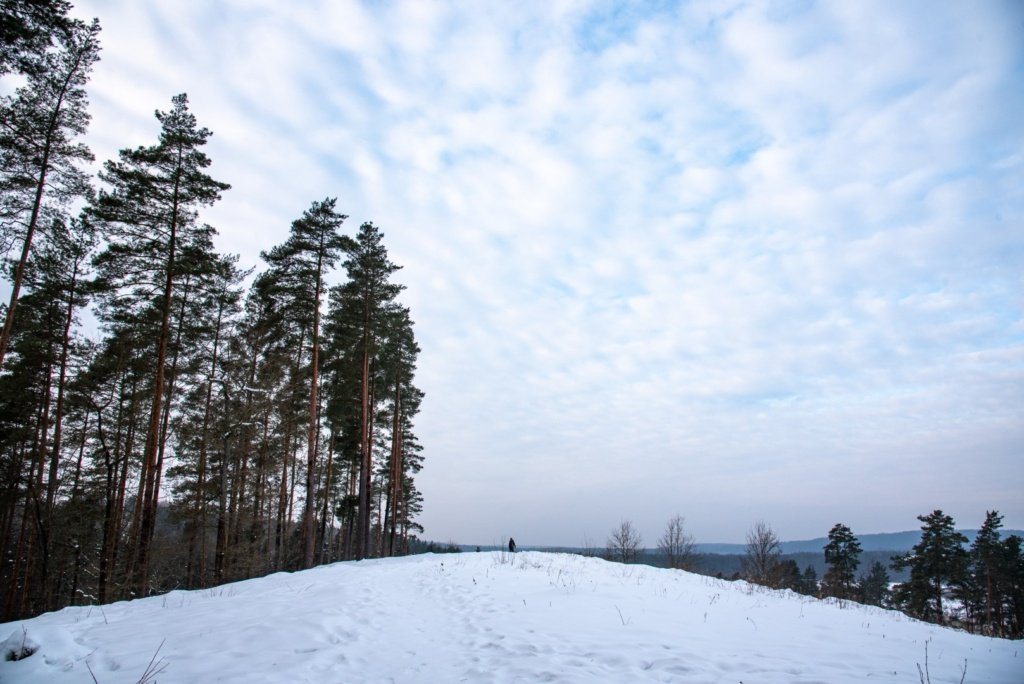 Stirnių piliakalnis