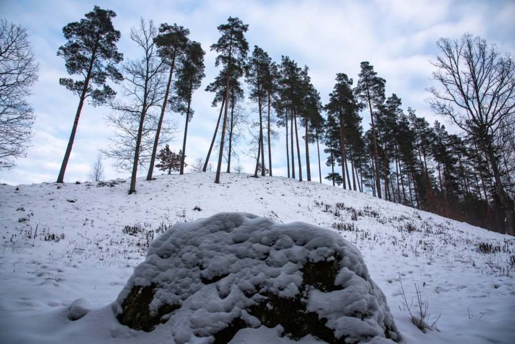 Stirnių piliakalnis