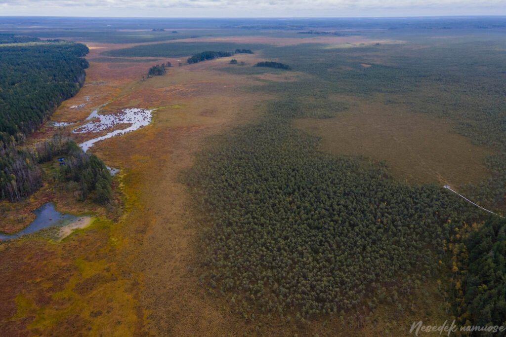 Čepkelių mokomasis takas