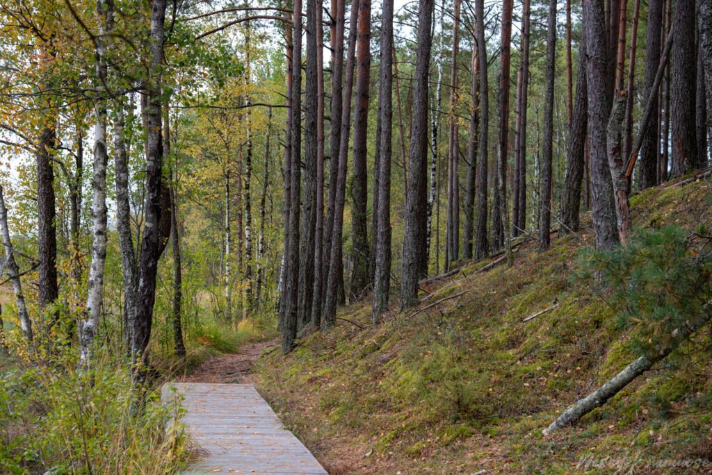 Čepkelių mokomasis takas