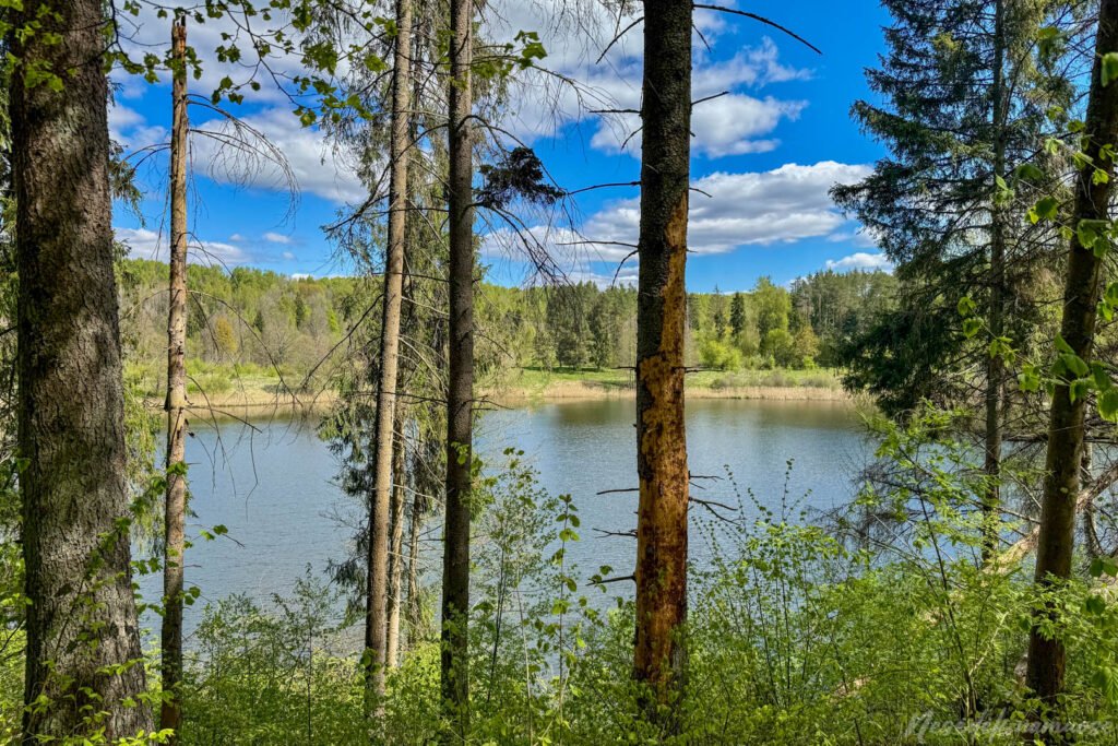 Mergiškių žiedas