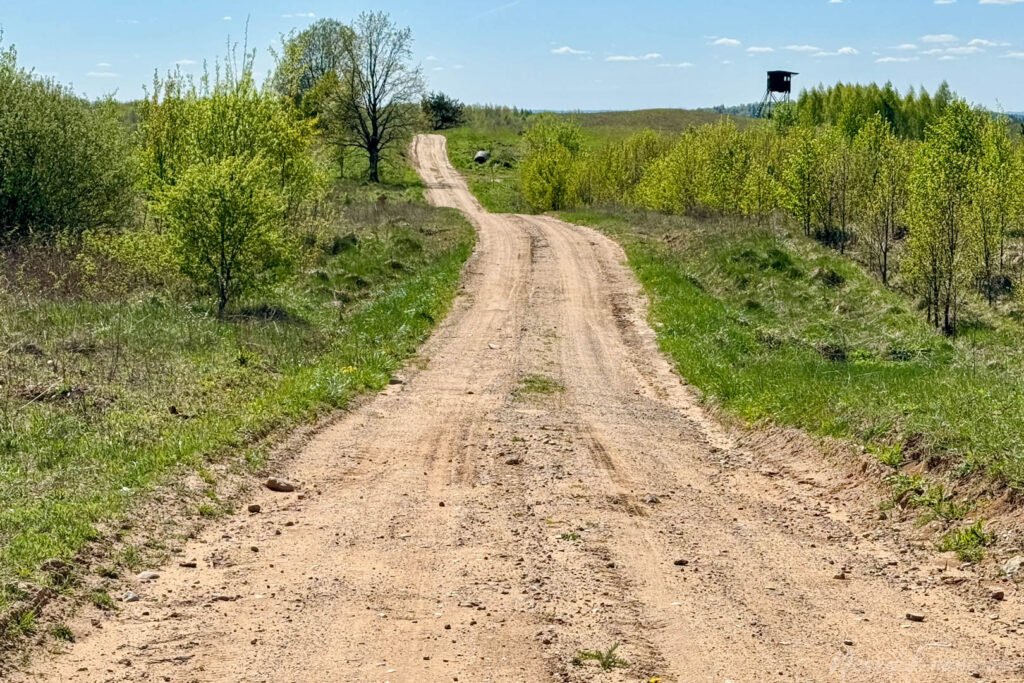 Mergiškių žiedas