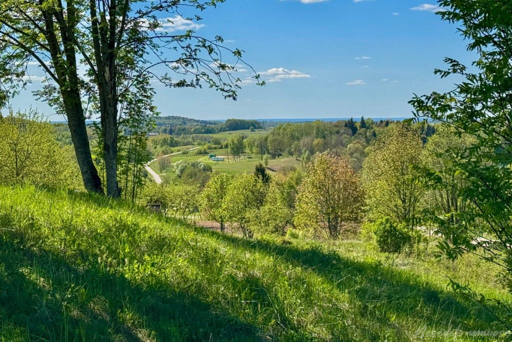 Mergiškių žiedas