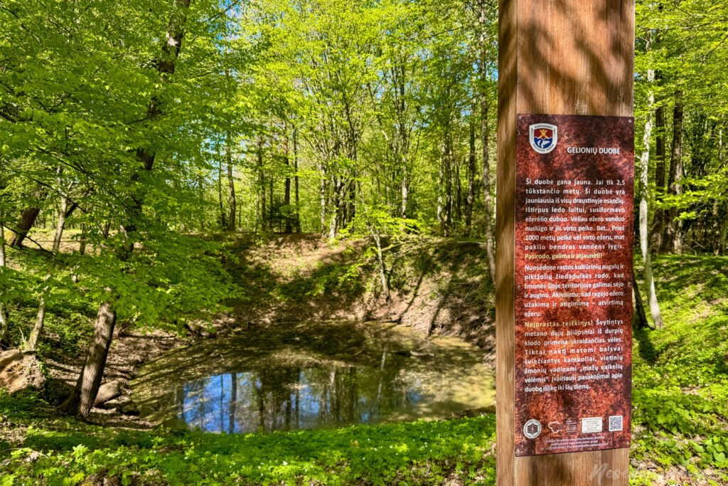 Mergiškių žiedas