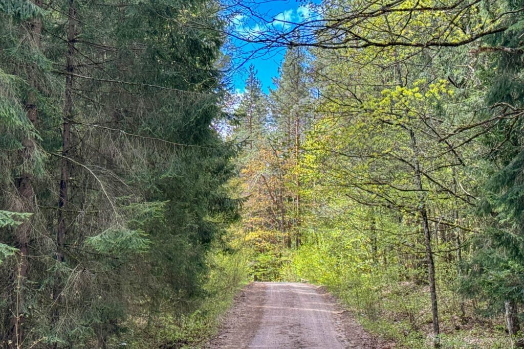 Mergiškių žiedas