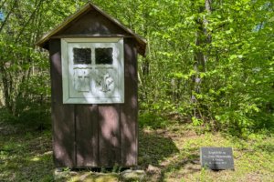 Pėsčiųjų trasa Aplink Ilgio ežerą