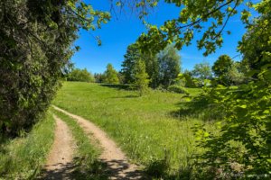 Pėsčiųjų trasa Aplink Ilgio ežerą