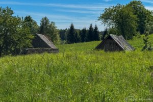 Pėsčiųjų trasa Aplink Ilgio ežerą