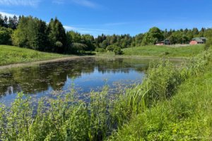 Pėsčiųjų trasa Aplink Ilgio ežerą