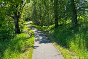 Pėsčiųjų trasa Aplink Ilgio ežerą