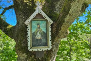 Pėsčiųjų trasa Aplink Ilgio ežerą