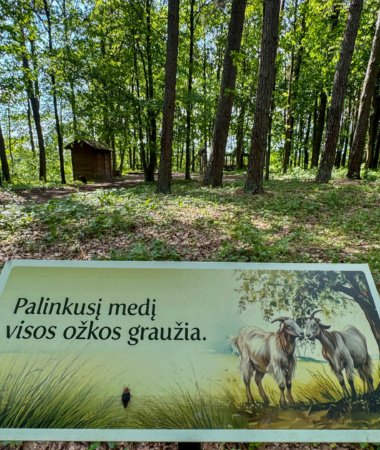 Patarlių takas