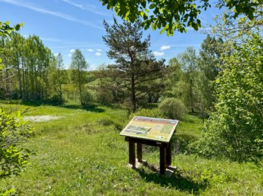 Poeto V. Mačernio gimtinės takas