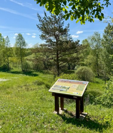 Poeto V. Mačernio gimtinės takas