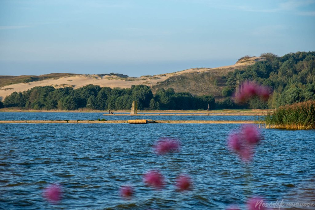 Pėsčiųjų maršrutas Aplink Nidą