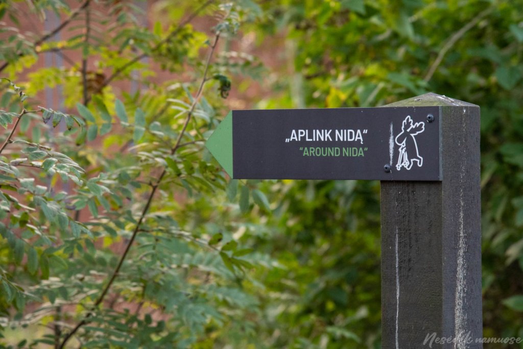 Pėsčiųjų maršrutas Aplink Nidą