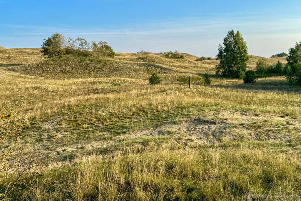 Pėsčiųjų maršrutas Aplink Nidą