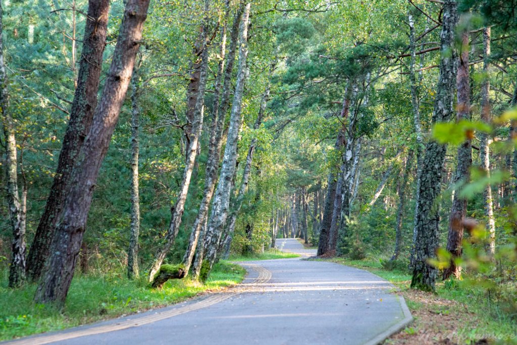 Pėsčiųjų maršrutas Aplink Nidą