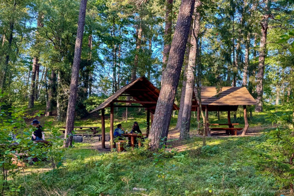 Pėsčiųjų maršrutas Miško katedros takais
