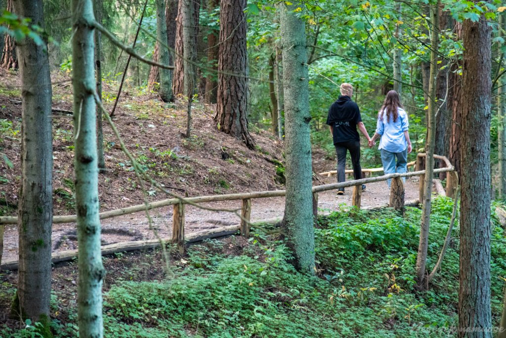 Pėsčiųjų maršrutas Miško katedros takais