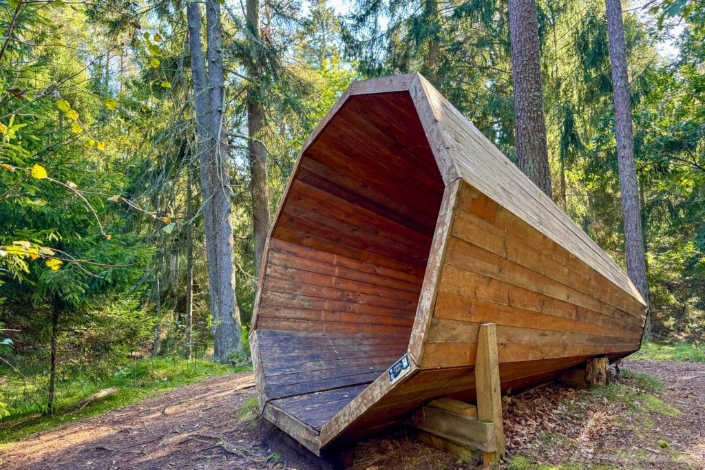 Pėsčiųjų maršrutas Miško katedros takais