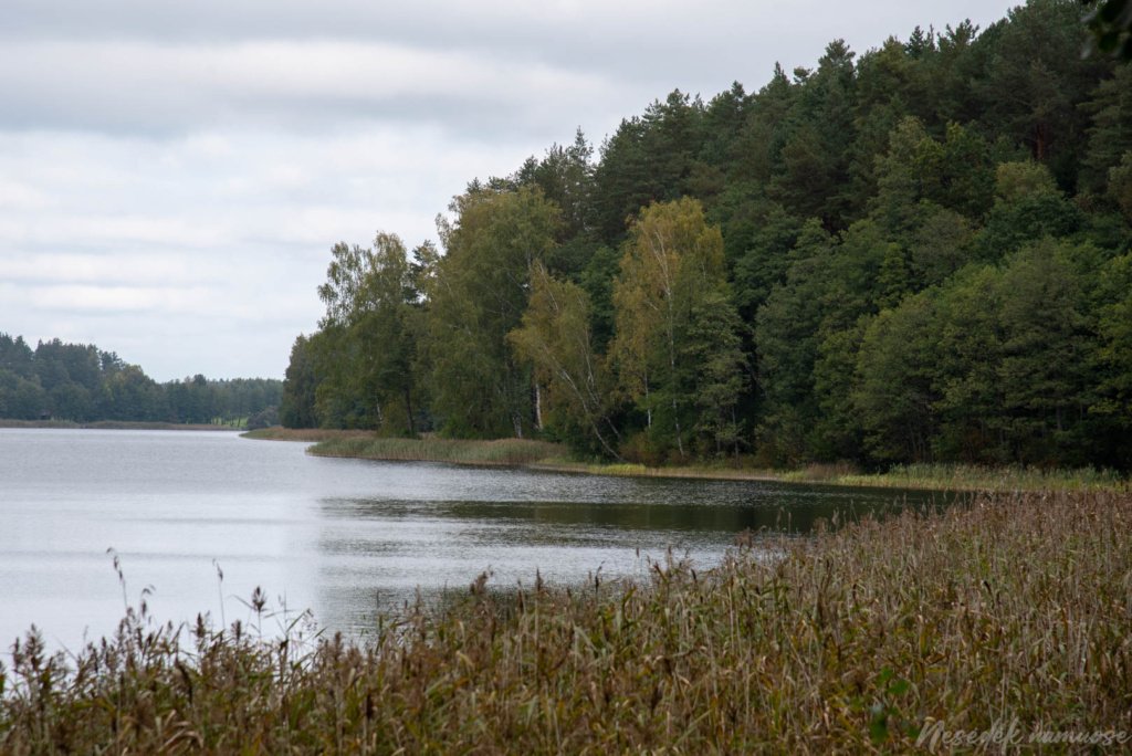 Pėsčiųjų maršrutas "Šakarvos žiedas"