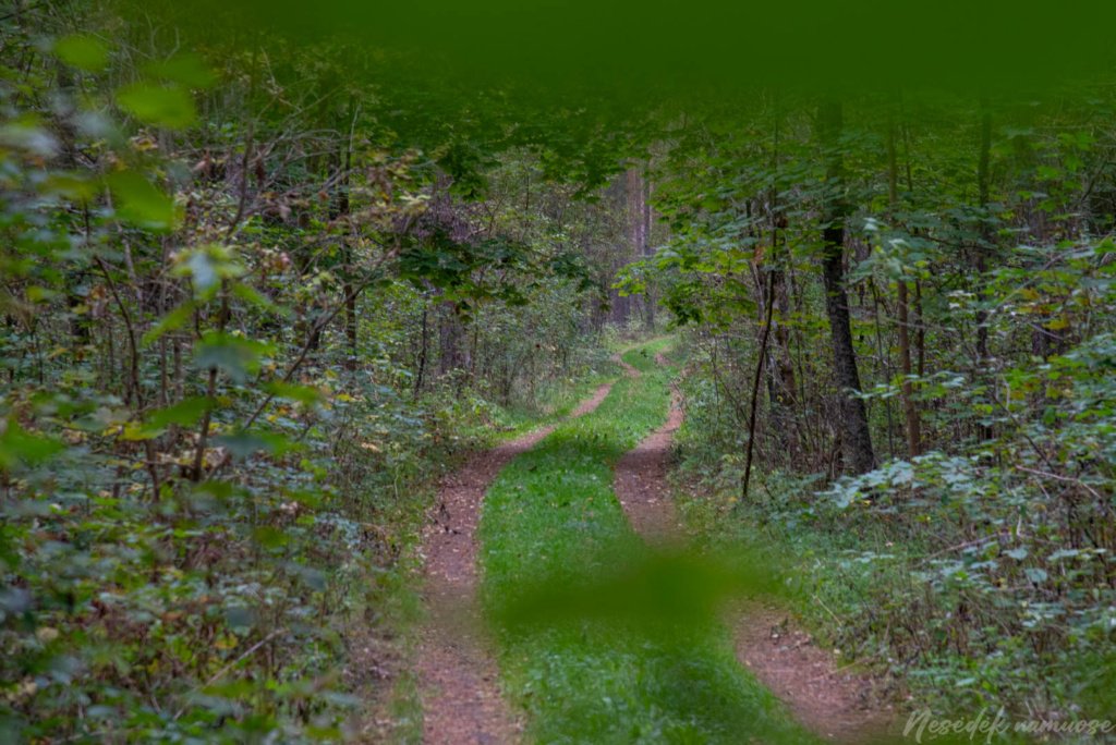 Pėsčiųjų maršrutas "Šakarvos žiedas"