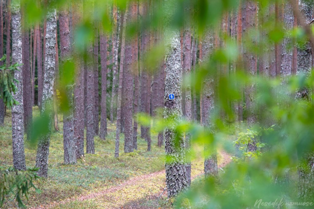 Pėsčiųjų maršrutas "Šakarvos žiedas"