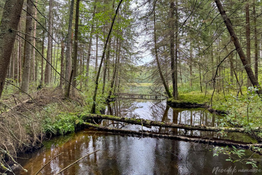 Pėsčiųjų maršrutas "Šakarvos žiedas"