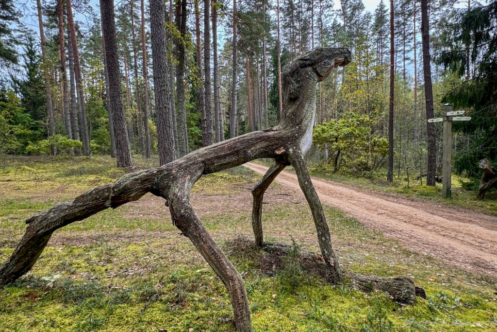 Pėsčiųjų maršrutas "Šakarvos žiedas"