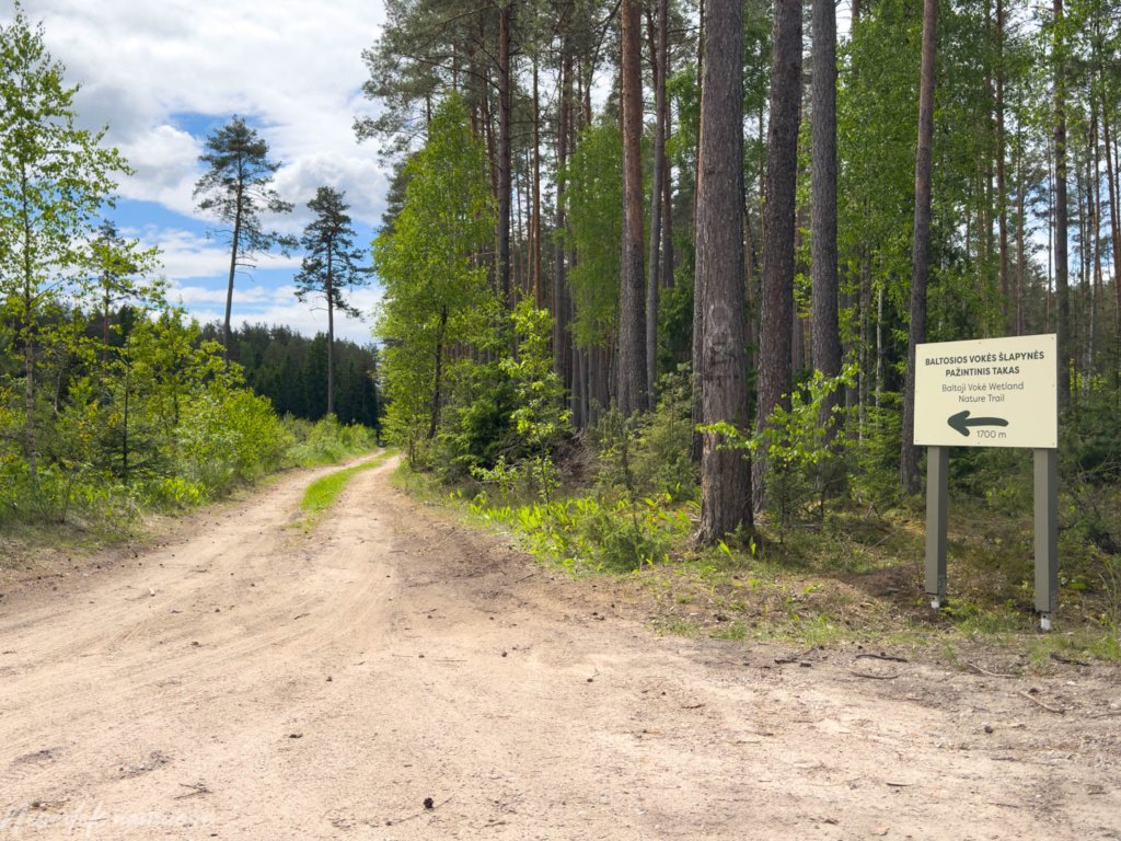 Baltosios Vokės šlapynės pažintinis takas