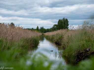 Baltosios Vokės šlapynės pažintinis takas