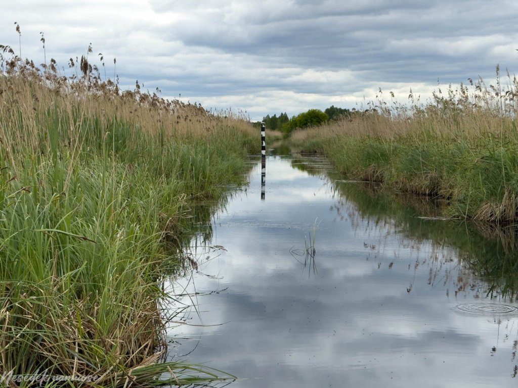 Baltosios Vokės šlapynės pažintinis takas