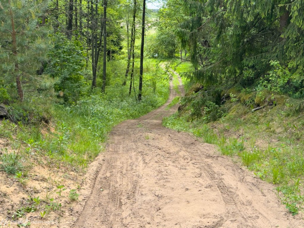 Baltosios Vokės šlapynės pažintinis takas
