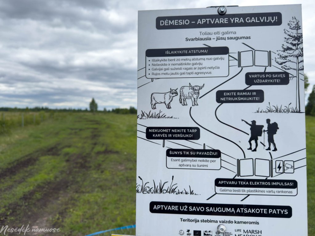 Baltosios Vokės šlapynės pažintinis takas