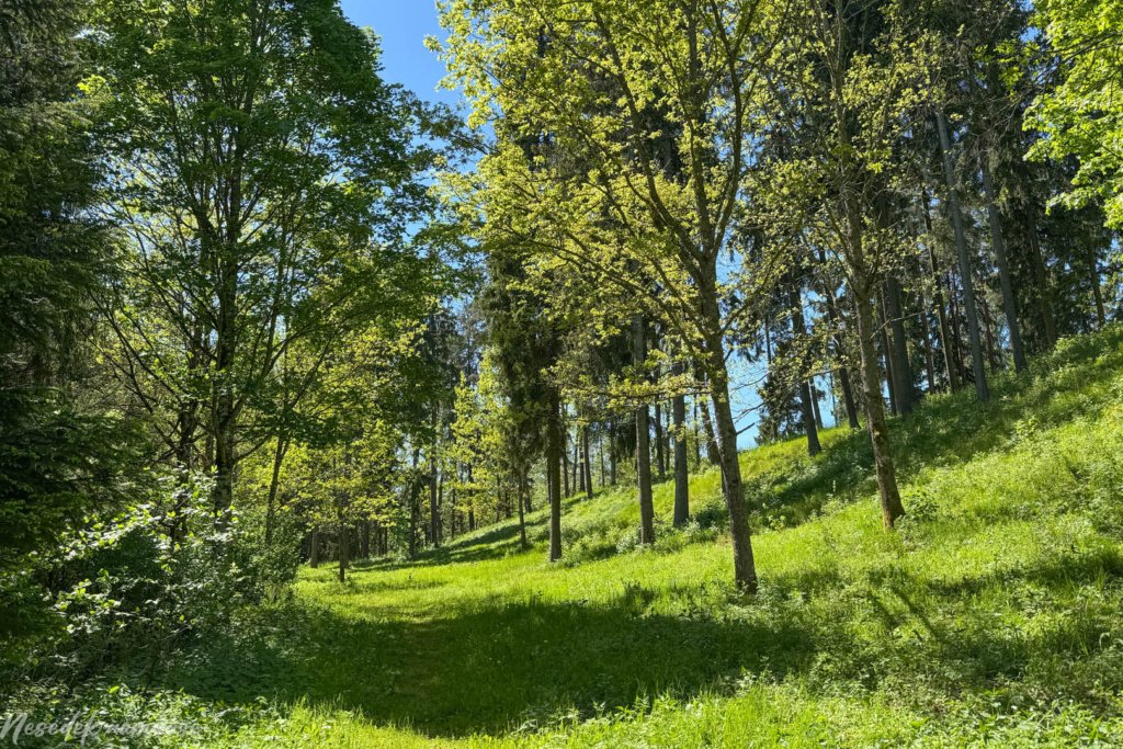Gegrėnų piliakalnių pažintinis takas