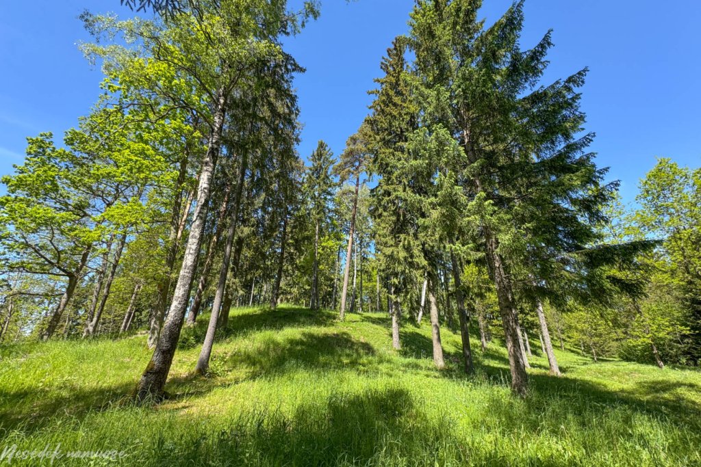 Gegrėnų piliakalnių pažintinis takas