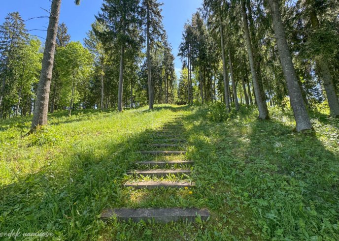 Gegrėnų piliakalnių pažintinis takas