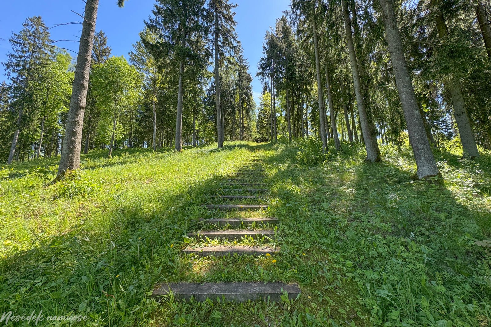 Gegrėnų piliakalnių pažintinis takas