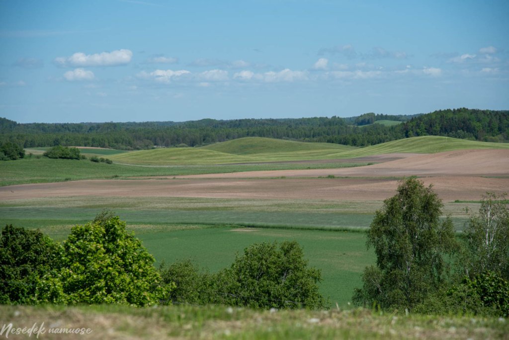Gegrėnų piliakalnių pažintinis takas