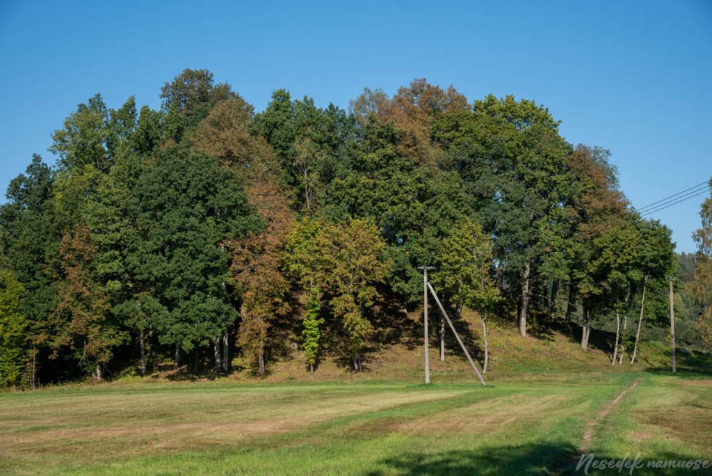 Naujasodžio–Varkalių piliakalniai
