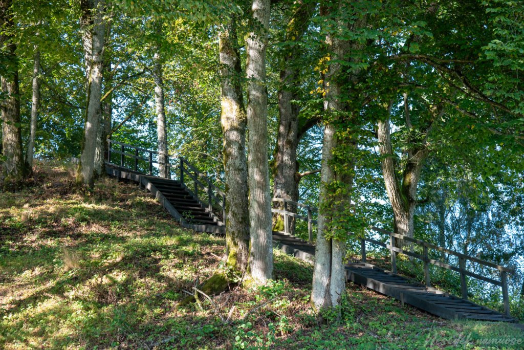 Naujasodžio–Varkalių piliakalniai