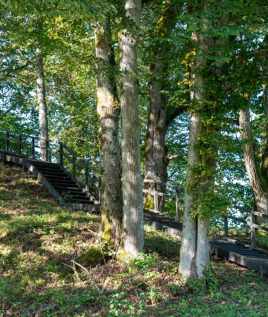 Naujasodžio–Varkalių piliakalniai