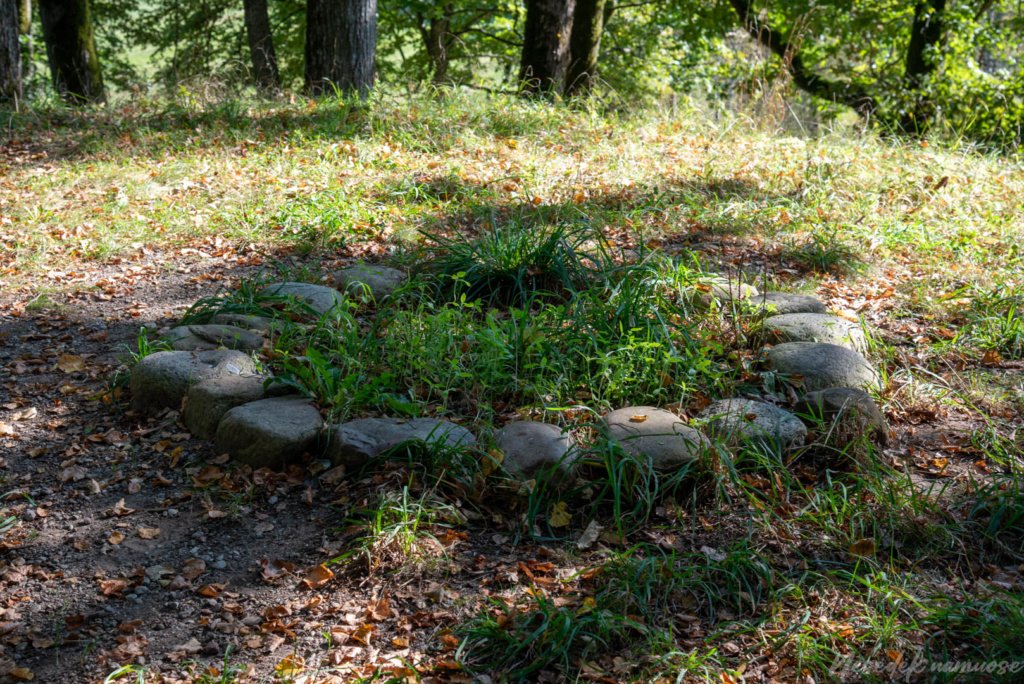 Naujasodžio–Varkalių piliakalniai