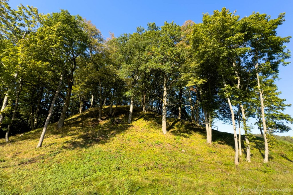 Naujasodžio–Varkalių piliakalniai