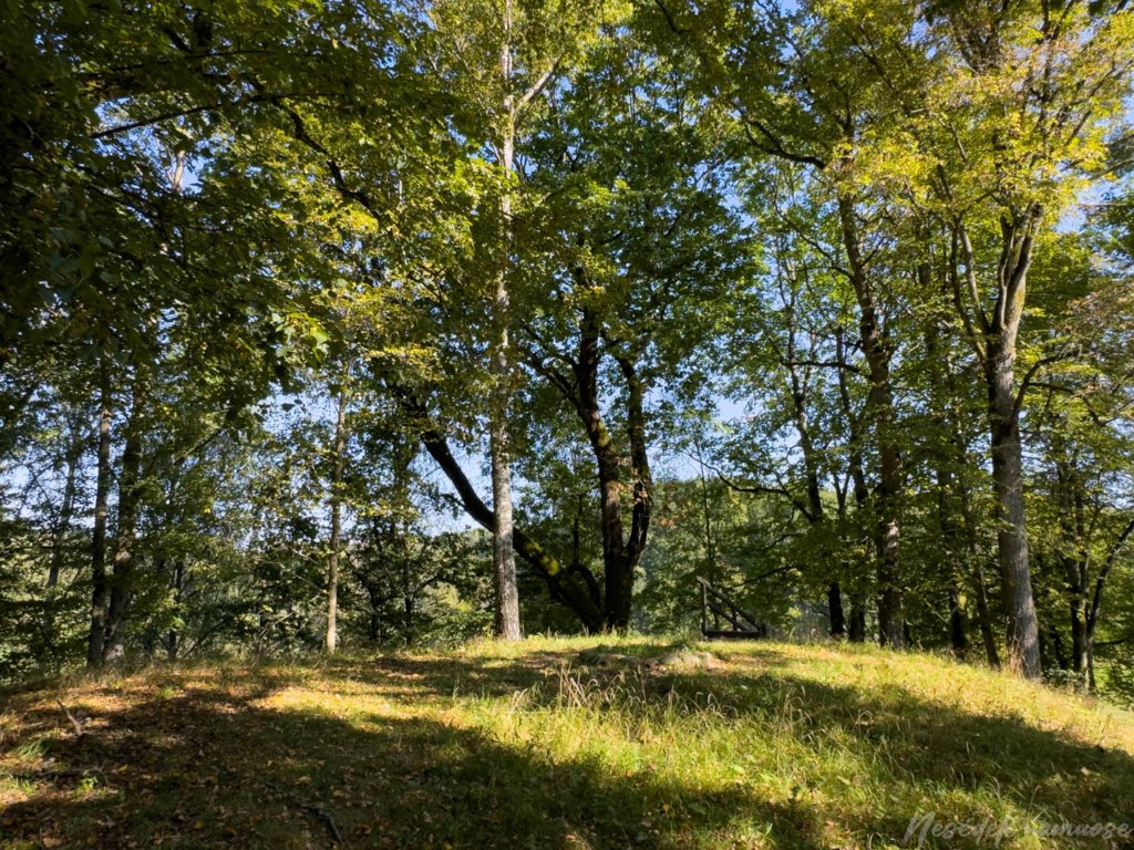 Naujasodžio–Varkalių piliakalniai