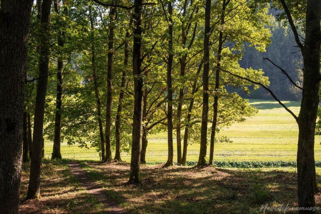 Naujasodžio–Varkalių piliakalniai