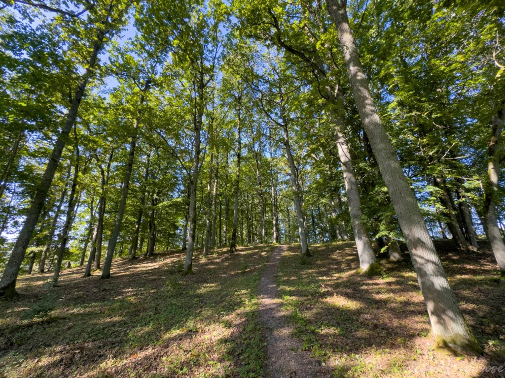 Naujasodžio–Varkalių piliakalniai