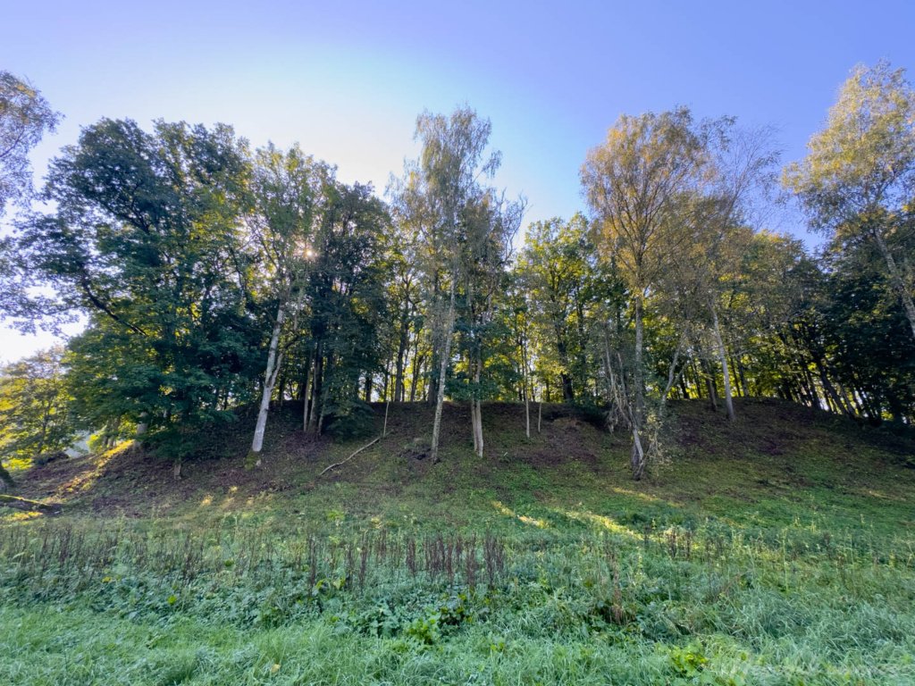 Naujasodžio–Varkalių piliakalniai
